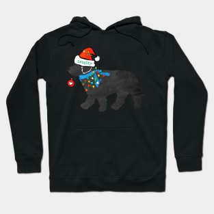 Cute Christmas Labradoodle Naughty But Nice Hoodie